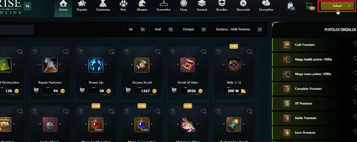 rise online cash satın al