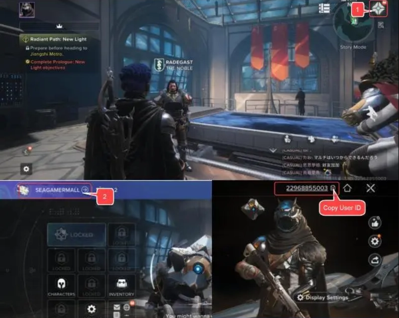 Destiny Rising Silver Satın Al
